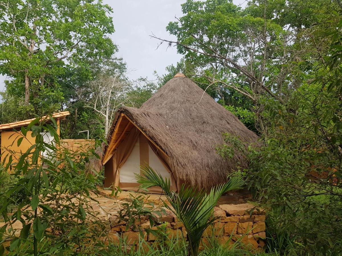 فندق Nativo Glamping باريكارا المظهر الخارجي الصورة