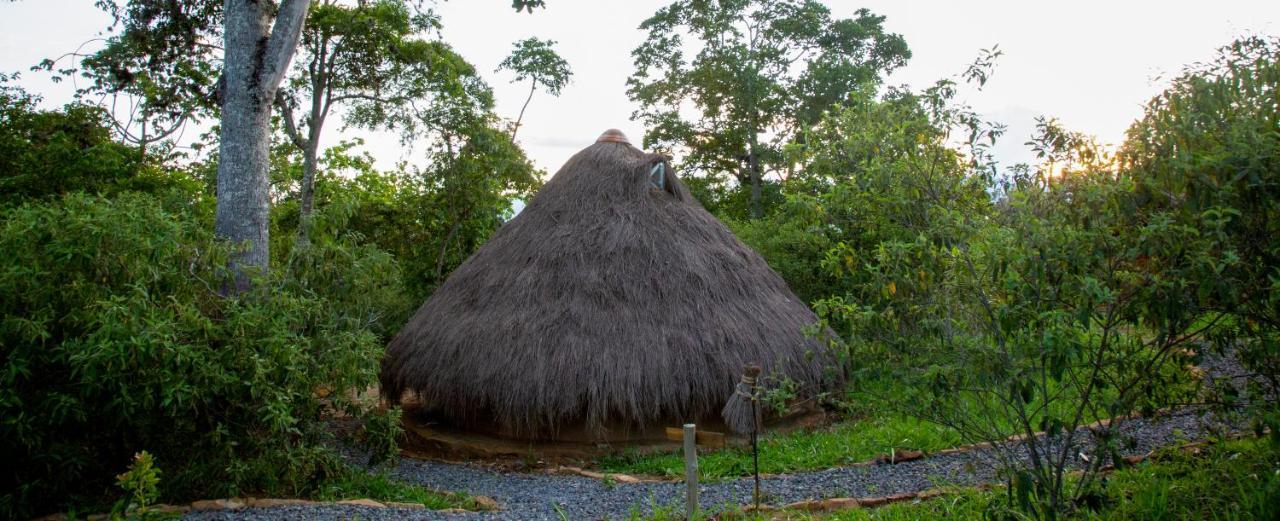 فندق Nativo Glamping باريكارا المظهر الخارجي الصورة