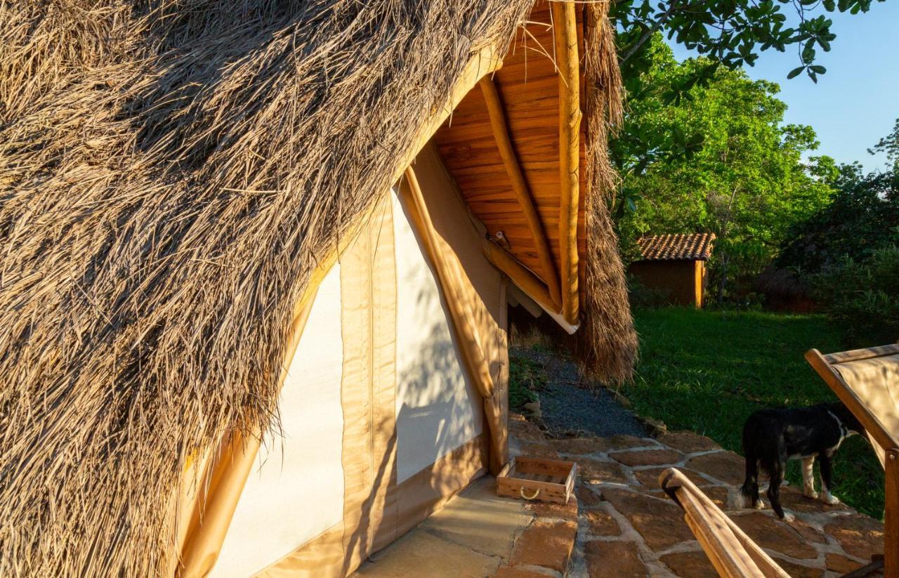 فندق Nativo Glamping باريكارا المظهر الخارجي الصورة