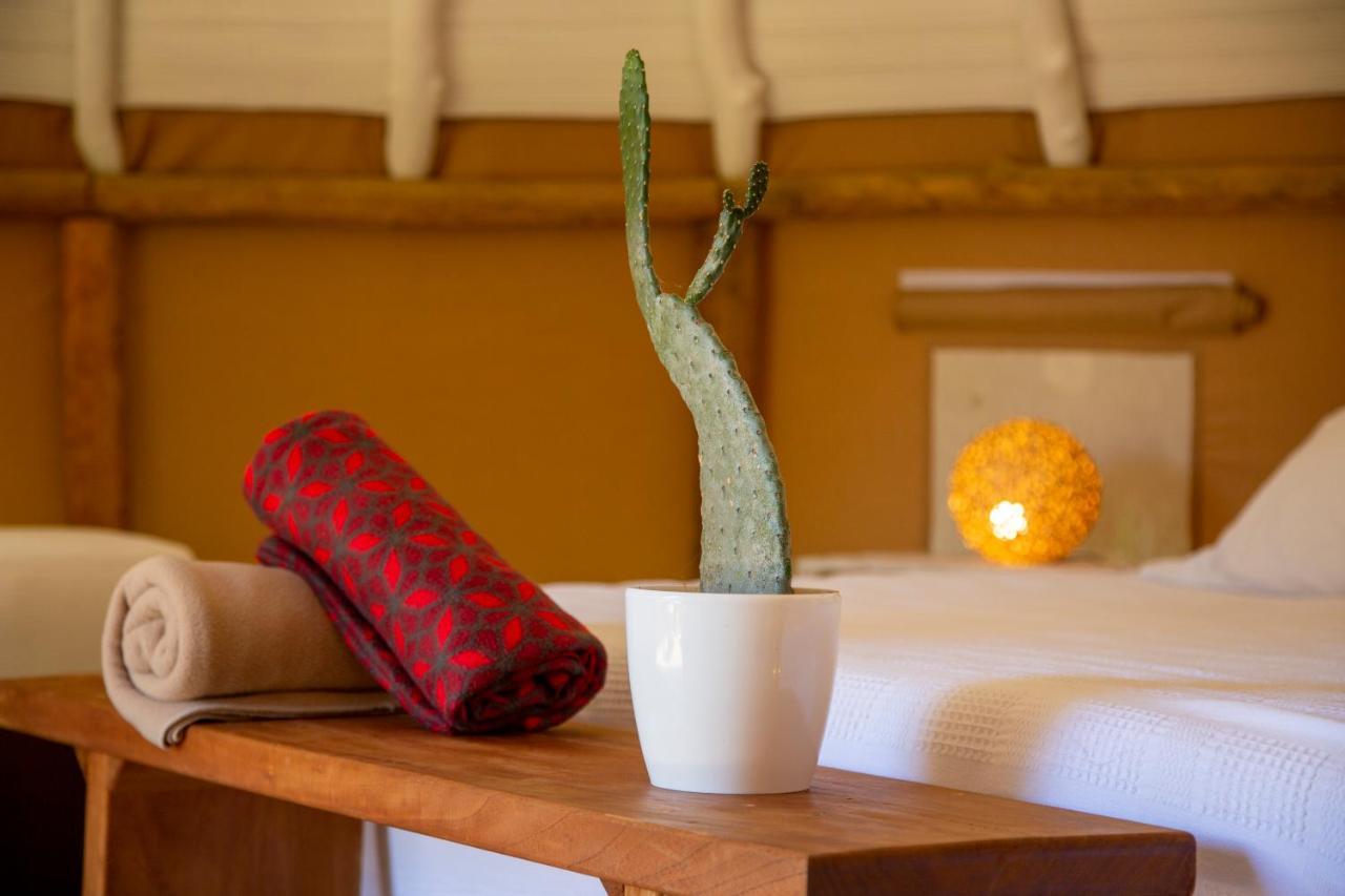فندق Nativo Glamping باريكارا المظهر الخارجي الصورة