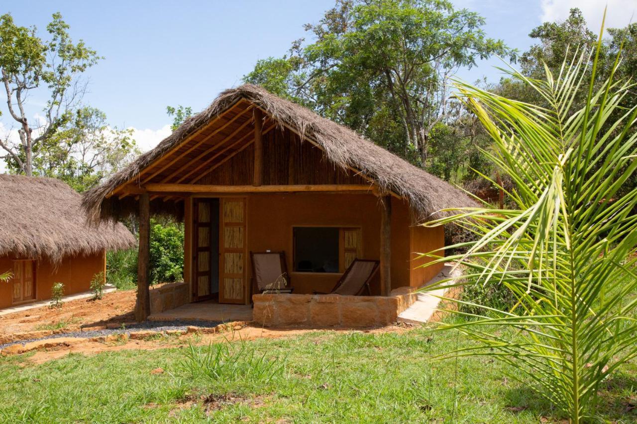 فندق Nativo Glamping باريكارا المظهر الخارجي الصورة