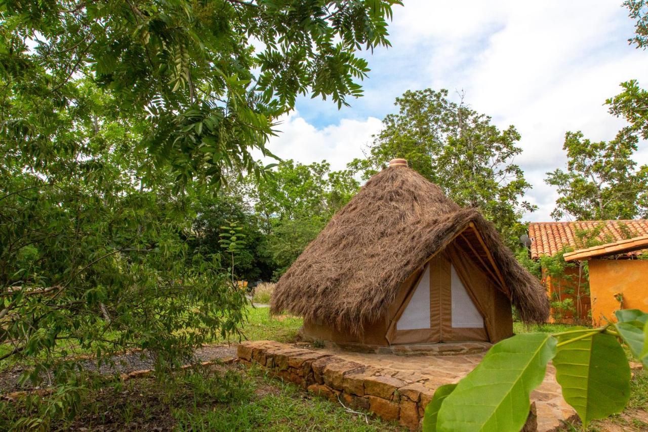 فندق Nativo Glamping باريكارا المظهر الخارجي الصورة