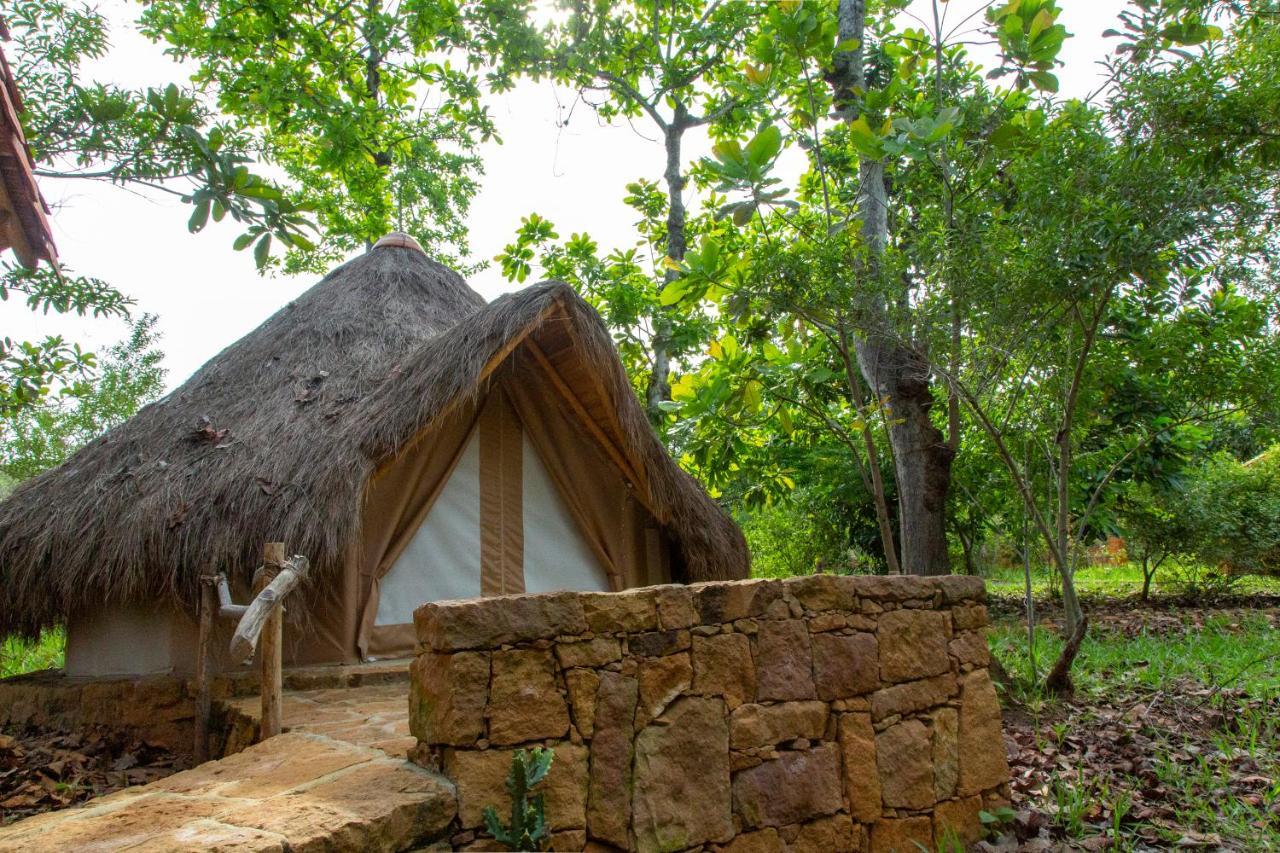 فندق Nativo Glamping باريكارا المظهر الخارجي الصورة