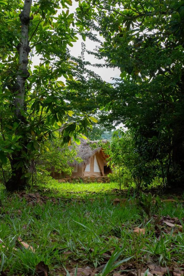 فندق Nativo Glamping باريكارا المظهر الخارجي الصورة