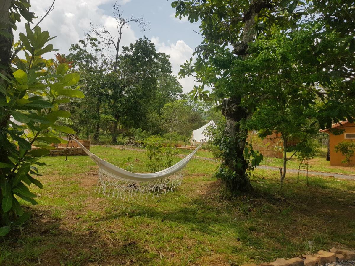 فندق Nativo Glamping باريكارا المظهر الخارجي الصورة
