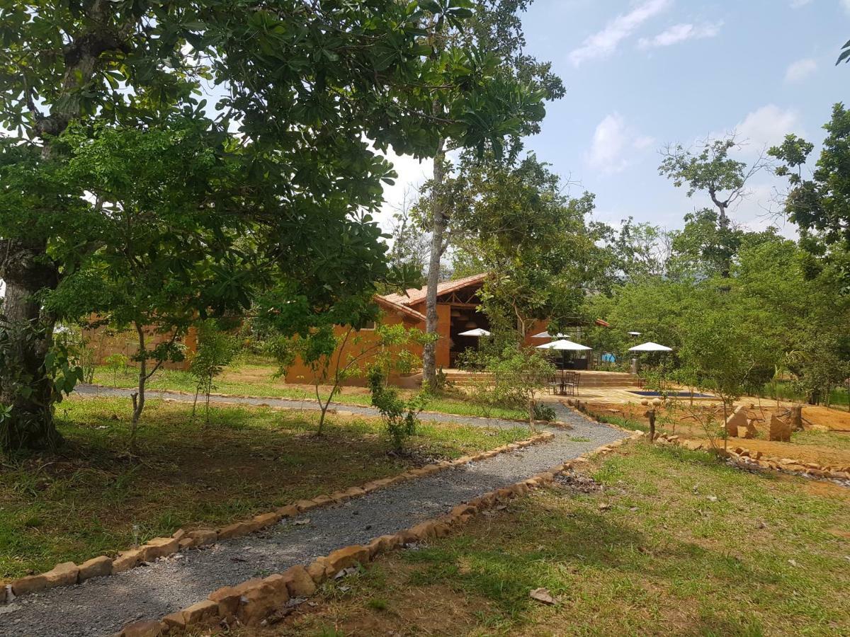 فندق Nativo Glamping باريكارا المظهر الخارجي الصورة